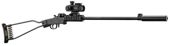 PACK CARABINE LITTLE BADGER NOIR ORGANE DE VISEE, 22 LR, SILENCIEUX + POINT ROUG