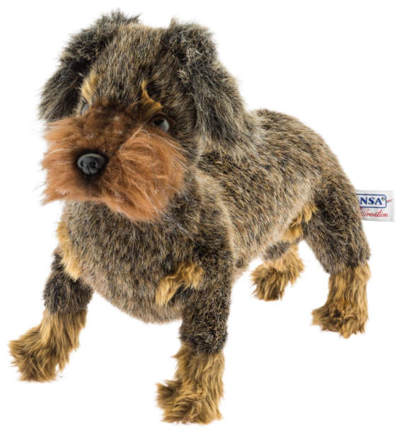 PELUCHE TECKEL POIL DUR – Image 2