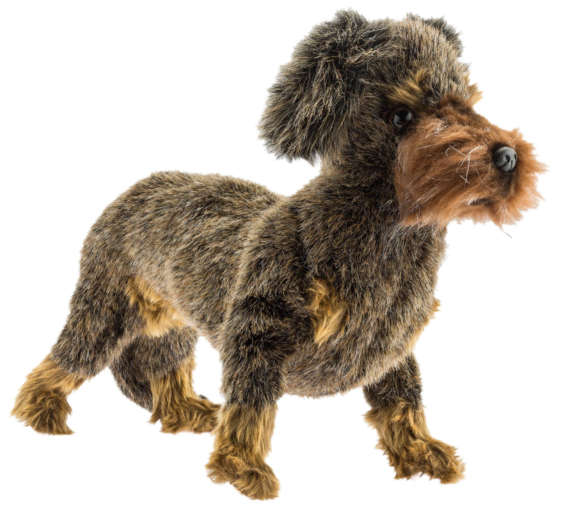 PELUCHE TECKEL POIL DUR