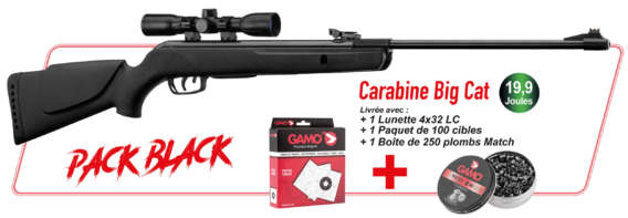 PACK CARABINE A PLOMBS GAMO BIG CAT 1000 BLACK, CALIBRE 4.5, 19,9 JOULES