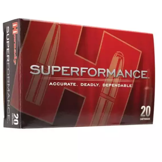 BOITE DE 20 CARTOUCHES HORNADY 9.3×62 250GR ECX