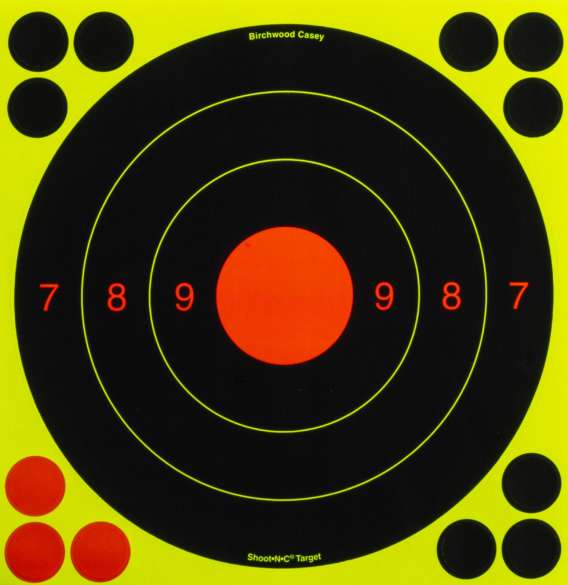 CIBLE MARQUANTES BIRCHWOOD CASEY SHOOT (X5)