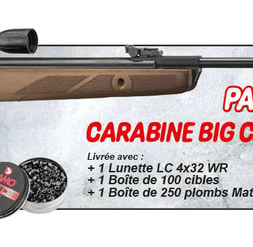 PACK CARABINE GAMO BIG CAT HUNTER AVEC LUNETTE, CIBLES + PLOMBS 19.9 JOULES