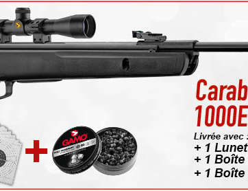 PACK NOEL GAMO BIG CAT 1000E BARRICADE 4.5 MM 19.9J + LUNETTE 4X32 WR+CIBLES ET PLOMB