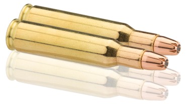 MUNITIONS SOLOGNE .222 REM SUBSONIQUE X20