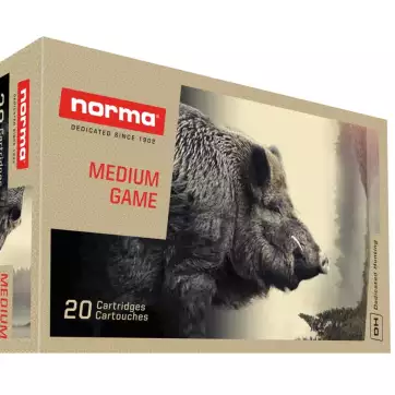 MUNITIONS NORMA CAL. 300 WIN MAG PLASTIC POINT 180GRS