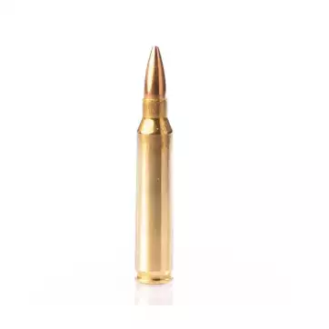 CARTOUCHES FIOCCHI 223 FMJ  55GR  (X50)
